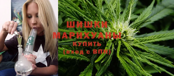 молекула духа Верхний Тагил